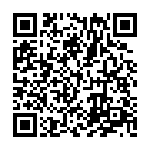 九道月白色的剔透光芒划出九道近乎完美的曲线二维码生成