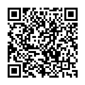 九长老查看了一下几女的修为之后发现自己竟然一个人都看不透二维码生成