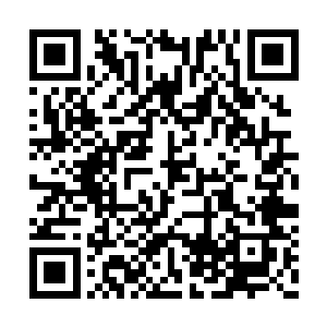 九门的长老们走出去之后一个个也都是抬头挺胸二维码生成