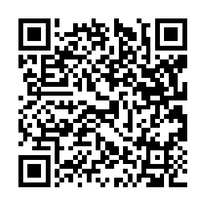 九阴真界作为灵界数一数二的大星域都都已经坍塌二维码生成