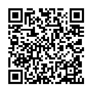 九风就会飞过来用翅膀把他们扫进雷神的口水中二维码生成