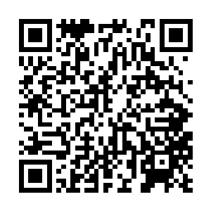 九黎老祖和疯魔大帝顿时对着画卷升起了好奇之心二维码生成