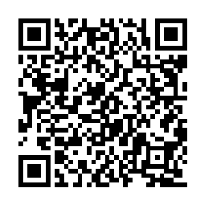 九鼎门二门的弟子里面就有两千多人被夏天打飞二维码生成