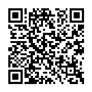 也一下子让谷家的骑士在浑天宝球内掌握了优势二维码生成