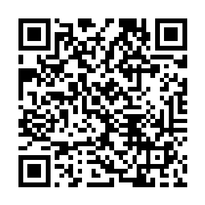 也一定会从孩子很小的时候就开始教育它要保护好仔仔二维码生成