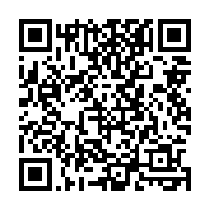 也一定会有很多在不经意间碰触到人们心底柔软点的好作品二维码生成