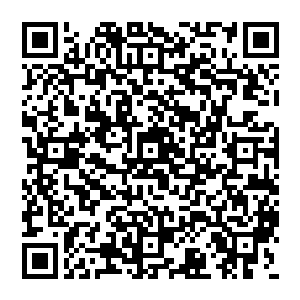 也一定有更多的人想要在今天对所有曾经当过兵和现在正把军装穿在身上的人们说一句节日快乐二维码生成