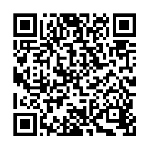 也一样拥有着这一界能够达到的最强大位面力量二维码生成