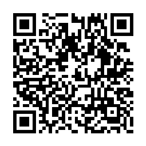 也一直没有真正催动这件法宝的力量来进行战斗二维码生成