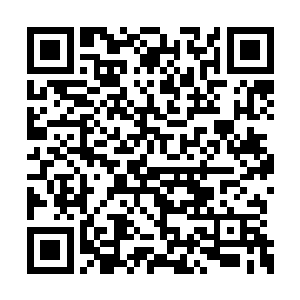 也不乏有一些天赋过人实力强大的中阶圣级强者二维码生成