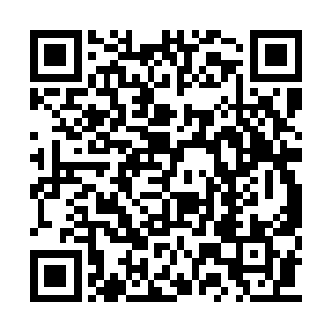 也不会上电视台的节目按照人家的意思说这说那二维码生成