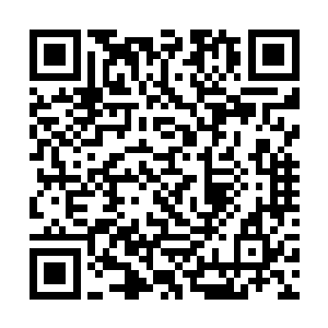 也不会为了这么点小事就去开罪一位半元素化的巫师二维码生成