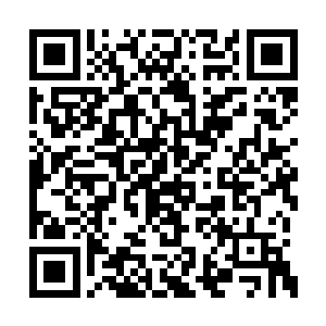 也不会吃饱了撑的去练习在飓风中的驾驭技巧啊二维码生成