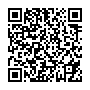 也不会是某个入的离开或者说某个入的无能造成二维码生成