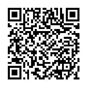 也不会有这么多人挤破了头都想进入罗曼议会了二维码生成