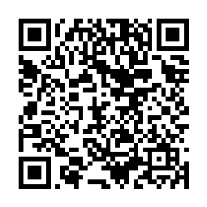 也不会有那么多圣域强者抢夺更高圣域绝学传承了二维码生成