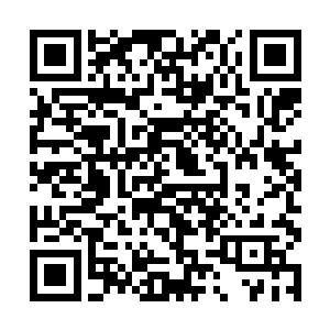 也不会沦落到眼下这个境界了……不过若不沦落至此二维码生成