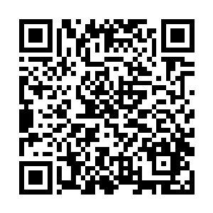 也不会错过这可以应用在战争当中的大杀器三瘤妖树二维码生成