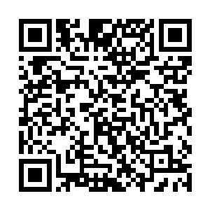 也不允许猴子找正承担着灾后重建任务的修士们质问二维码生成