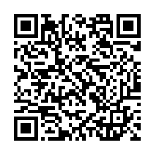 也不再介意偶尔露出的娇羞或者含情脉脉会觉得突兀二维码生成