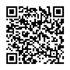 也不可能一个照面消灭掉六具天阶十二星初期傀儡二维码生成