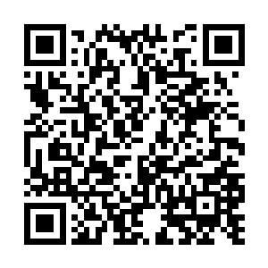 也不可能会对后辈有着这是可以调戏勾搭的软妹子二维码生成