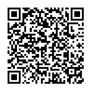 也不可能在几秒之内将这些护卫全部击杀而叫他们连消息都传不出去二维码生成