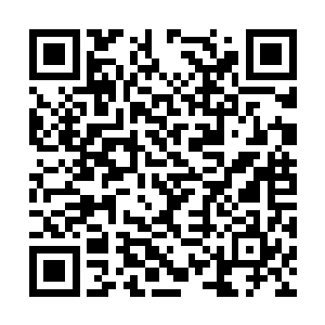 也不可能如此轻松的杀死两个实力不弱的一星武宗二维码生成