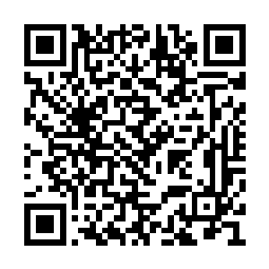 也不可能将对面的一千八百多人尊期大修士杀死二维码生成