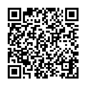 也不可能成为帝国外围世界近几年最耀眼的绝世凶人二维码生成