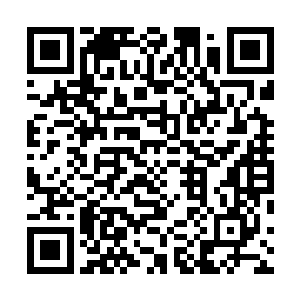 也不可能生下你姑姑和你爸了虽然你爸现在整天惹人生气二维码生成