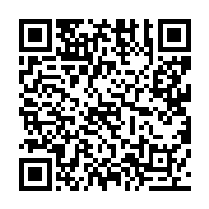 也不可能视数百台晶铠和上千台战斗傀儡的火力覆盖如无物二维码生成