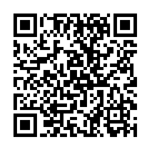 也不可能让一个幻影骑士在这么短的时间内进阶圣阶二维码生成