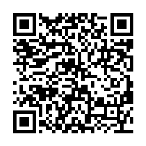 也不可能让这种逆天的存在生存在这个武道大世界的二维码生成