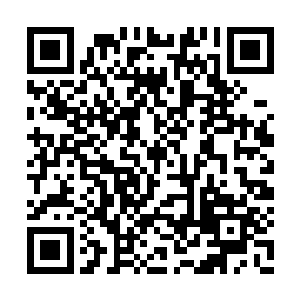 也不可能这么容易就清剿掉三十头妖神执行者吧二维码生成