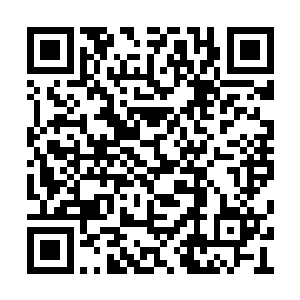 也不后悔只差明言请闻老太爷为自已撑腰的事情二维码生成