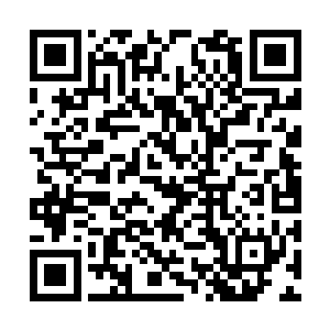 也不在意站在自己身后咬着嘴唇的那个惹事儿女孩二维码生成