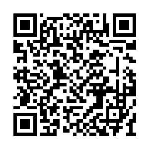 也不好太过明目张胆地带着一大批军火和手下去二维码生成