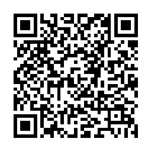 也不得在各国境内从事医疗和药品销售等等领域的活动二维码生成