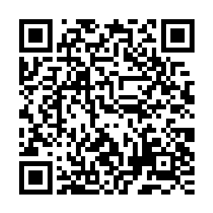 也不想因为大家因为西格玛不想用卡帕的身体没有了自己的身体二维码生成