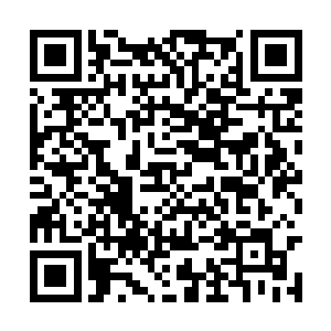 也不想在风险极大的原创项目上多投入哪怕一美元二维码生成