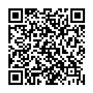 也不想想迄今为止被杀死的宾客里面有多少是他曾经的后背二维码生成