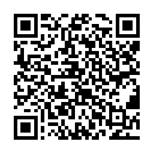 也不想想这荒郊野外的一个凡人怎么可能来这里卖茶二维码生成