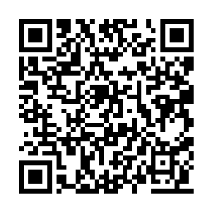 也不想看向他突然在她面前变得陌生至极的脸孔二维码生成