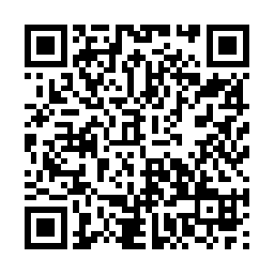 也不想给你的那些儿子们挣一个贵族的爵位和出身二维码生成