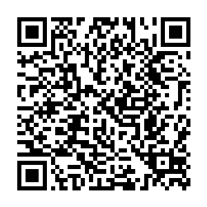 也不想自己喊一声救命更没有什么悲观的情绪就这么望向了大蟹钳号二维码生成