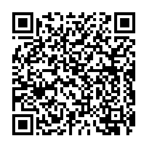 也不愿意和这些杀人如麻不珍惜别人生命也不珍惜自己生命的疯婆子为敌二维码生成