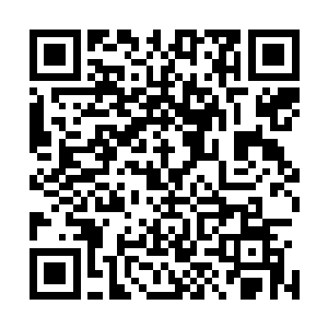 也不愿睁一只眼闭一只眼看着自家将种子孙去破罐子破摔了二维码生成
