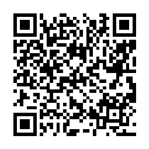 也不排除义军的核心是真正想要改变这个世界的人二维码生成