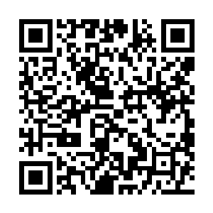 也不断的有大鱼被拖上了甲板然后经过处理之后送入船舱二维码生成